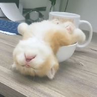 99久...久播影院图片