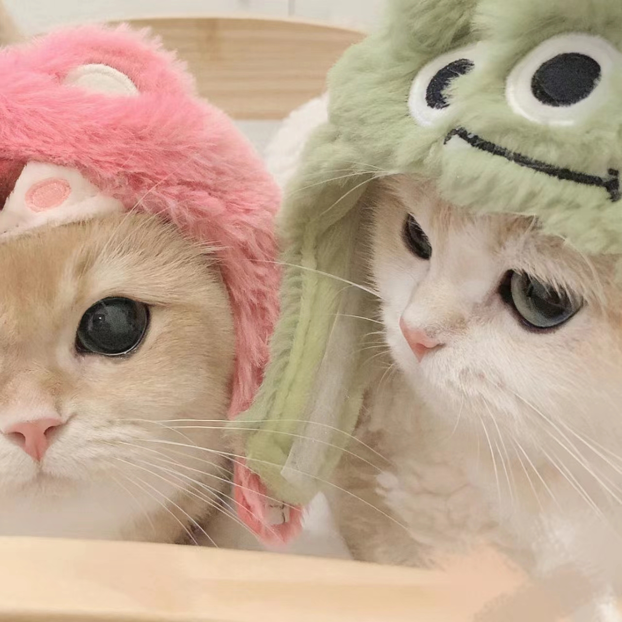 9.1直播免费APP应用