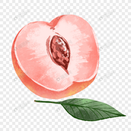 看黄直播APP应用